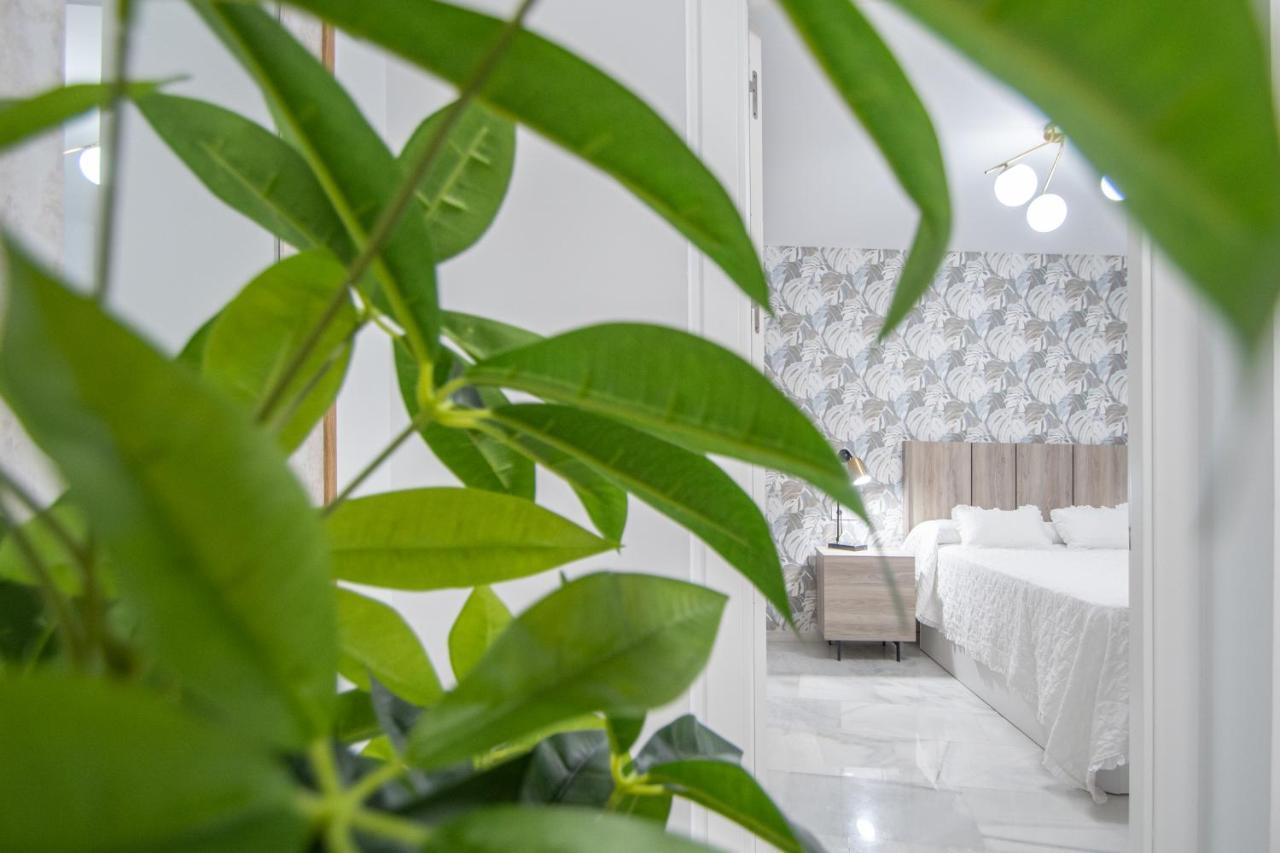 Apartamento La Magnolia de Cádiz Cádis Exterior foto